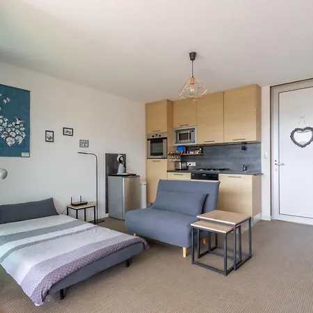 Le Chemin Du Fort - T2 Belle Vue Mer Avec Piscine Appartement *